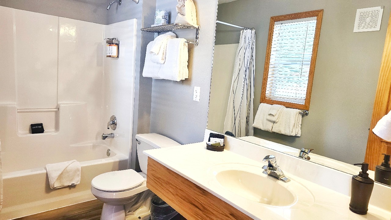 Jetted tub and bathroom